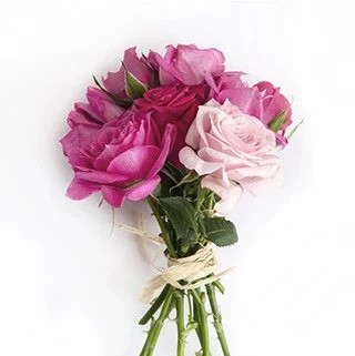 Gift & Occasion Florals