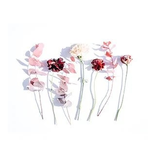 Custom Arrangements