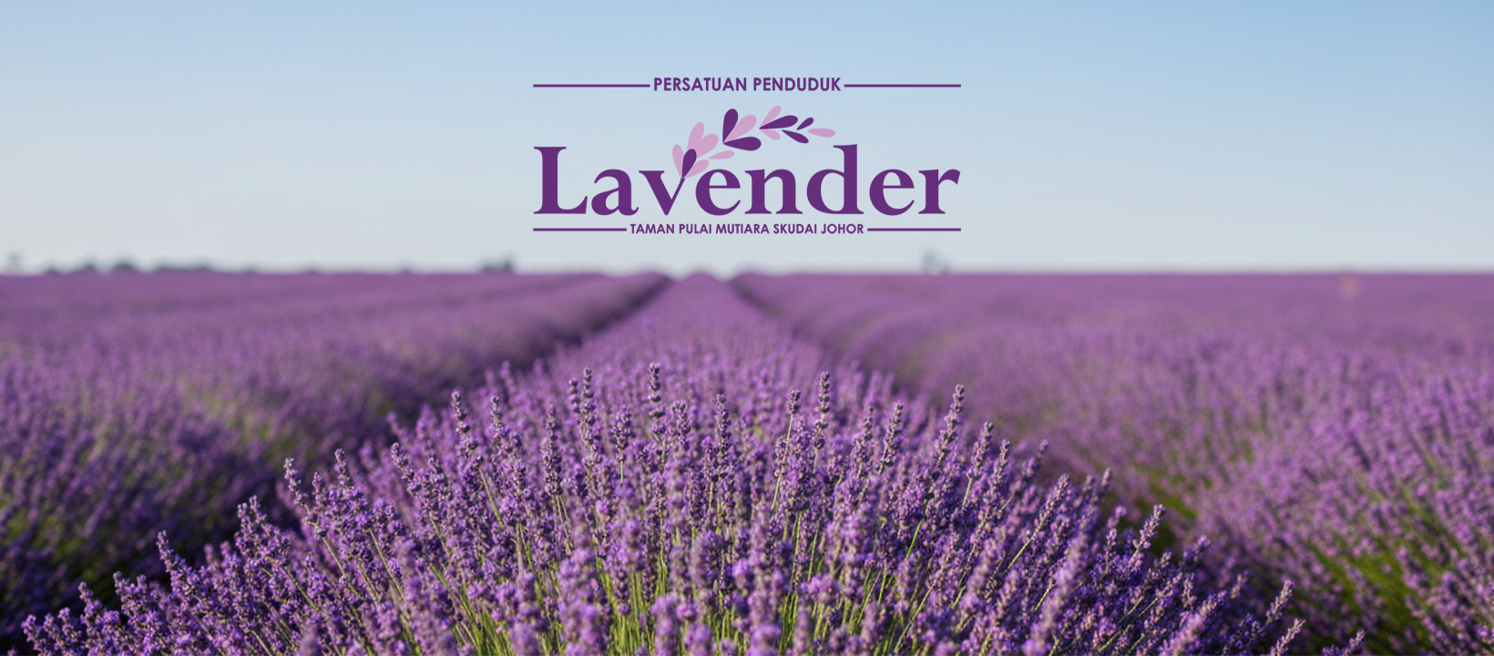 lavender-fb
